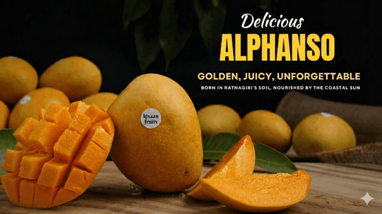 Fruit Raja - Organic Ratanagir Mango - Mobile