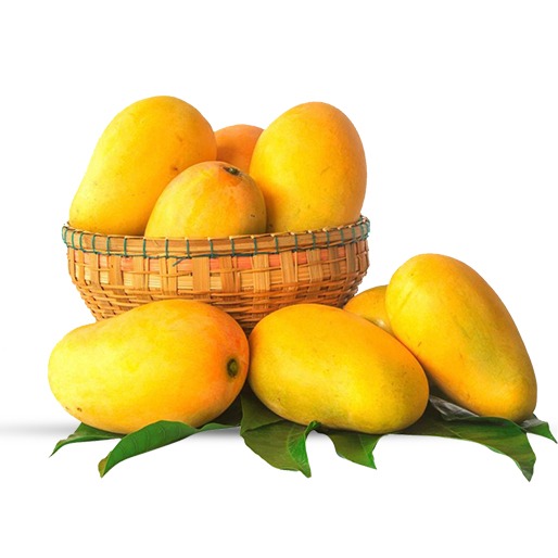 Kesar (Regular Size)