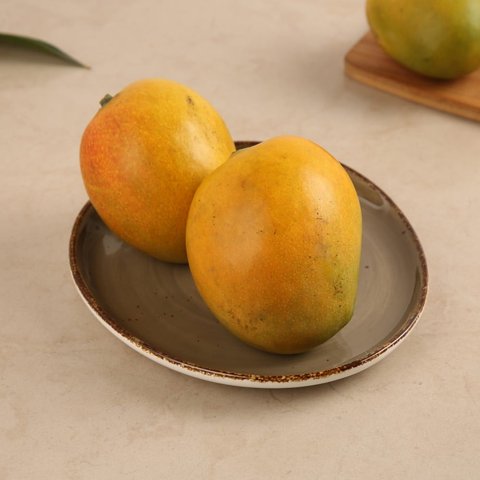 Pairi (Regular Size)